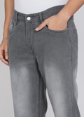 Roadster Men Regular Mid Rise Grey Jeans